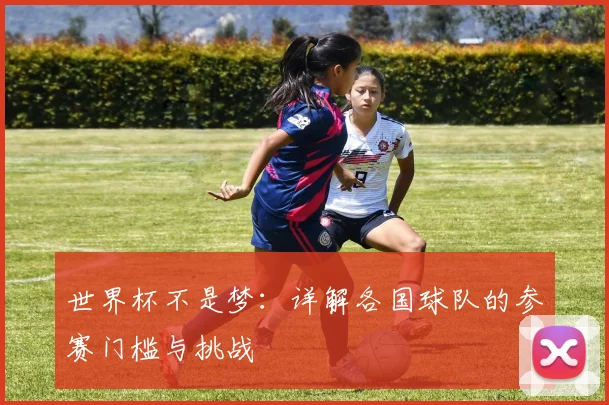 世界杯不是梦：详解各国球队的参赛门槛与挑战