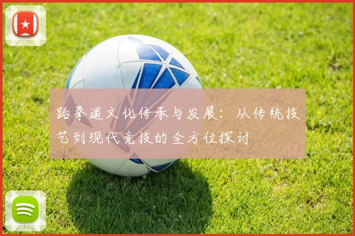 跆拳道文化传承与发展：从传统技艺到现代竞技的全方位探讨
