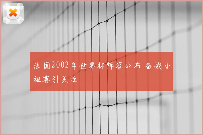 法国2002年世界杯阵容公布 备战小组赛引关注