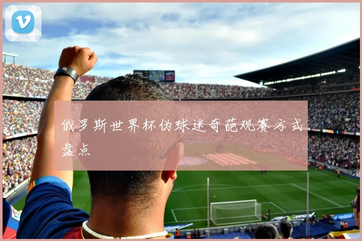 俄罗斯世界杯伪球迷奇葩观赛方式盘点