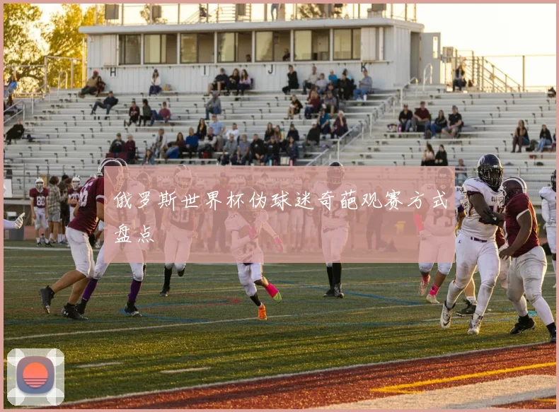 俄罗斯世界杯伪球迷奇葩观赛方式盘点