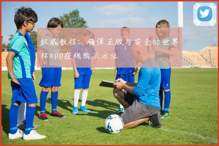 权威教程:确保正版与安全的世界杯app在线购买方法