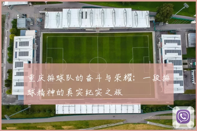 重庆排球队的奋斗与荣耀：一段排球精神的真实纪实之旅