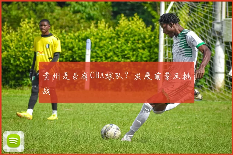 贵州是否有CBA球队？发展前景及挑战