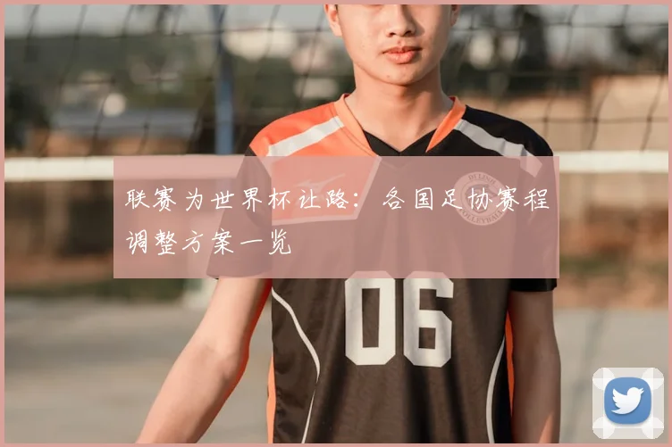 联赛为世界杯让路：各国足协赛程调整方案一览