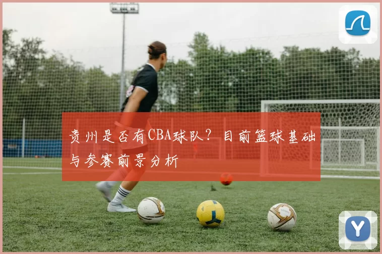 贵州是否有CBA球队？目前篮球基础与参赛前景分析