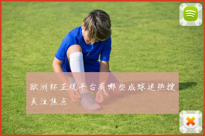 欧洲杯正规平台有哪些成球迷热搜关注焦点