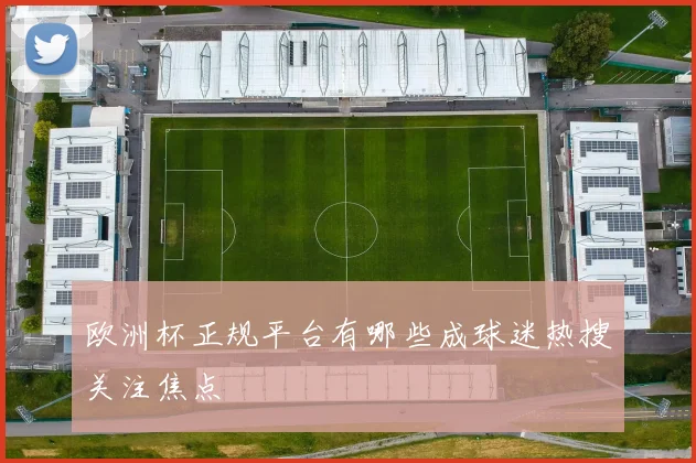 欧洲杯正规平台有哪些成球迷热搜关注焦点