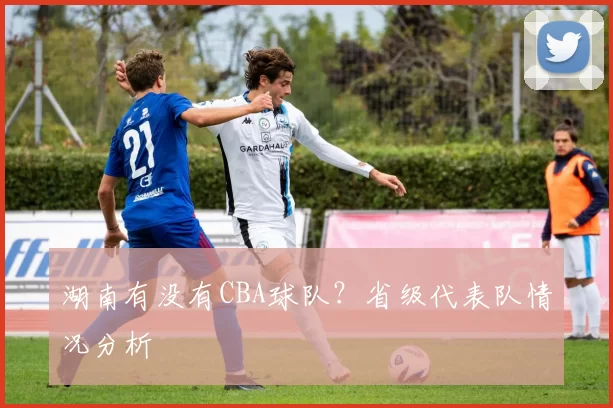 湖南有没有CBA球队？省级代表队情况分析